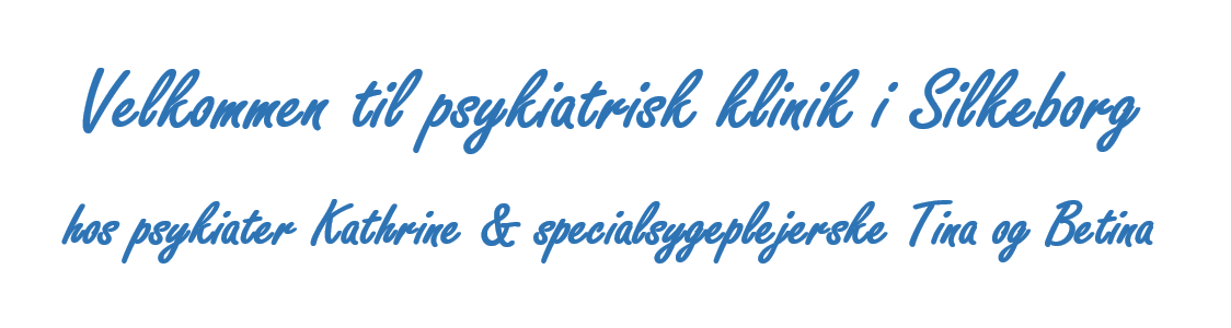 Skærmbillede 2025-10-01 111819